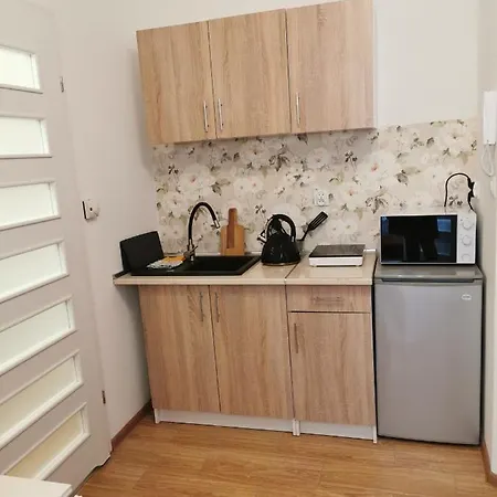 Kamienica Apartment *